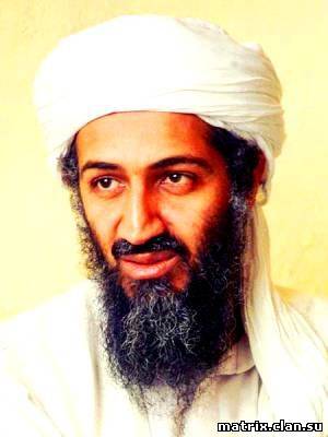 События в мире:Осама бин Ладен призвал не устраивать теракты против мусульман