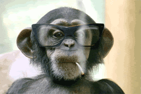 Загадки планеты:Курящие обезьяны